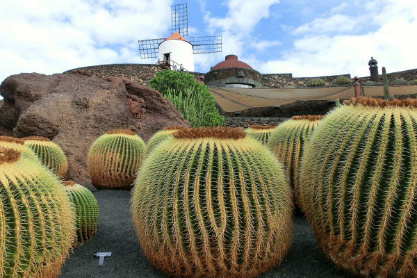 Lanzarote