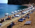 Delfinia Resort Hotel