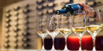 deluxe-krizarjenje-po-vinskih-poteh-wine-deluxe-cruise